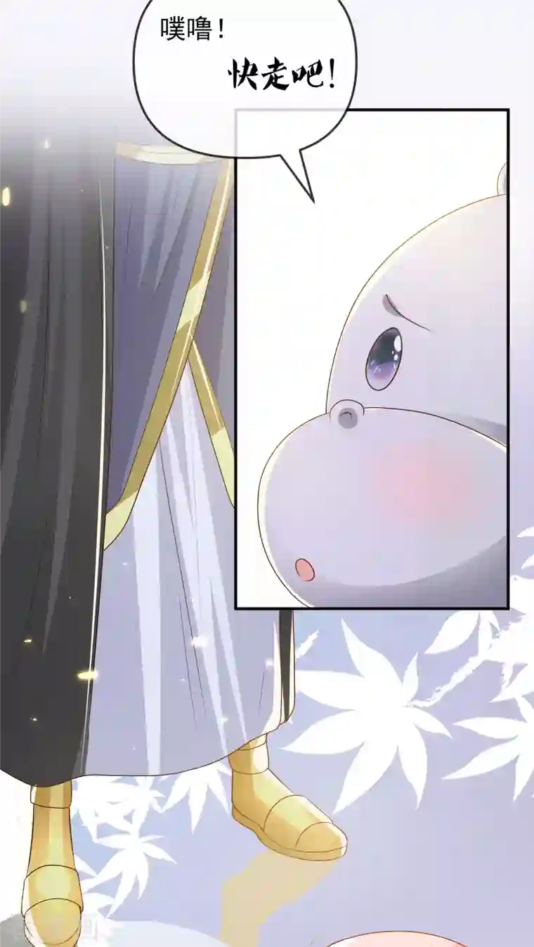 王的第一宠后第150话 她也来海洲了？