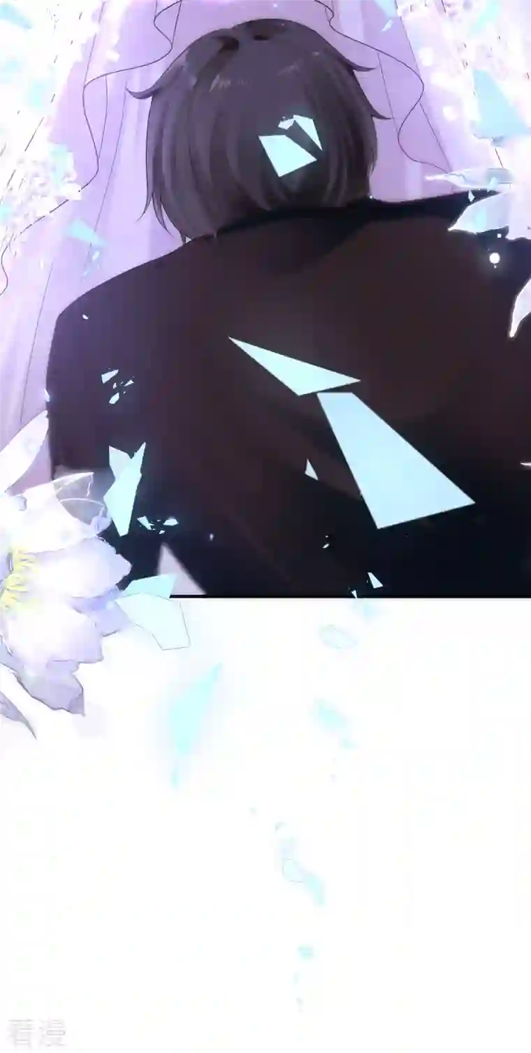 王的第一宠后第153话 就要破碎消亡了么？