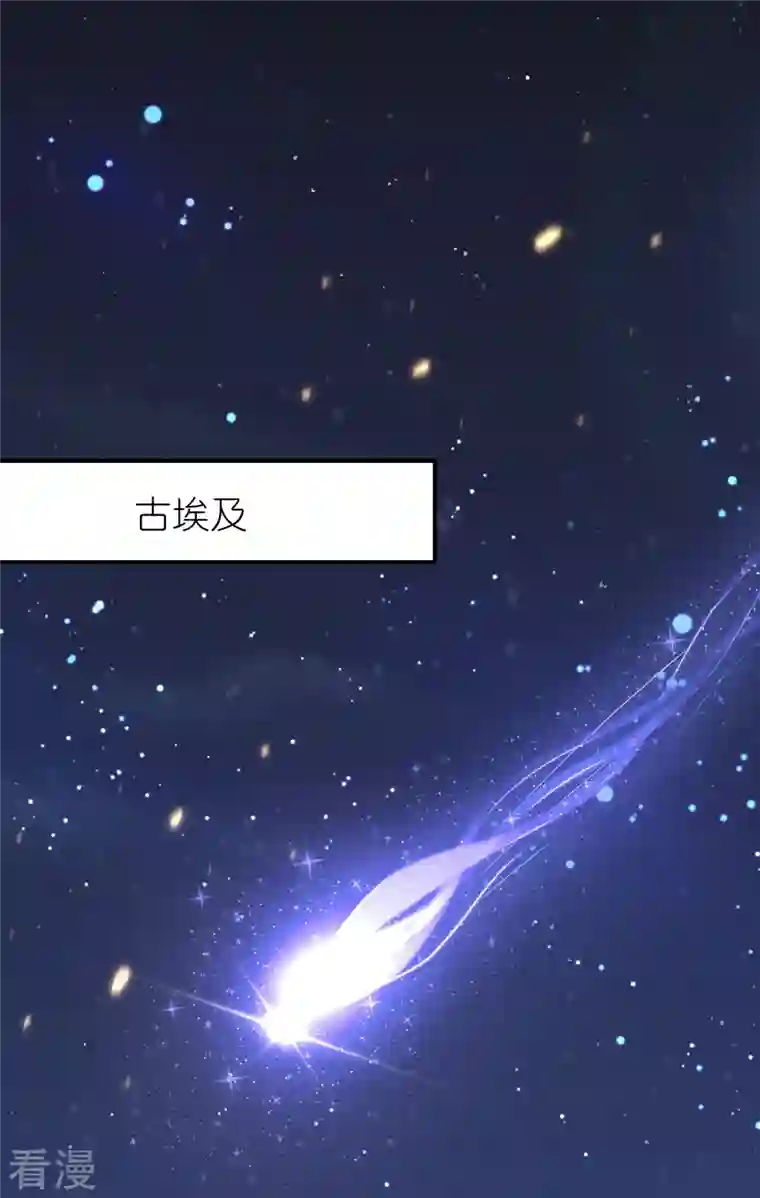 王的第一宠后第162话 混蛋美尼斯！