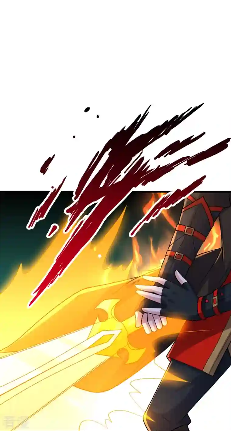 仙武帝尊第311话 绝地反击！