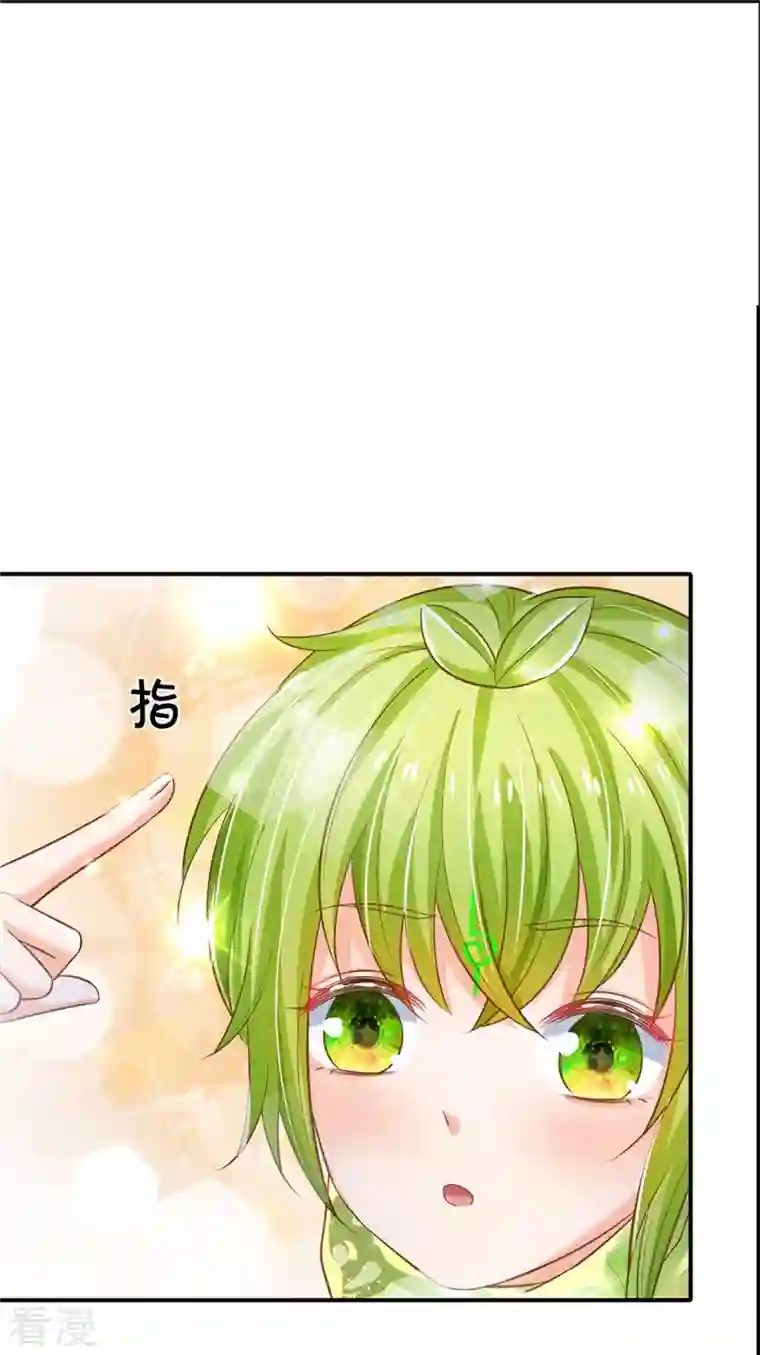 皇帝陛下的天价宝贝第196话 只有一个能活