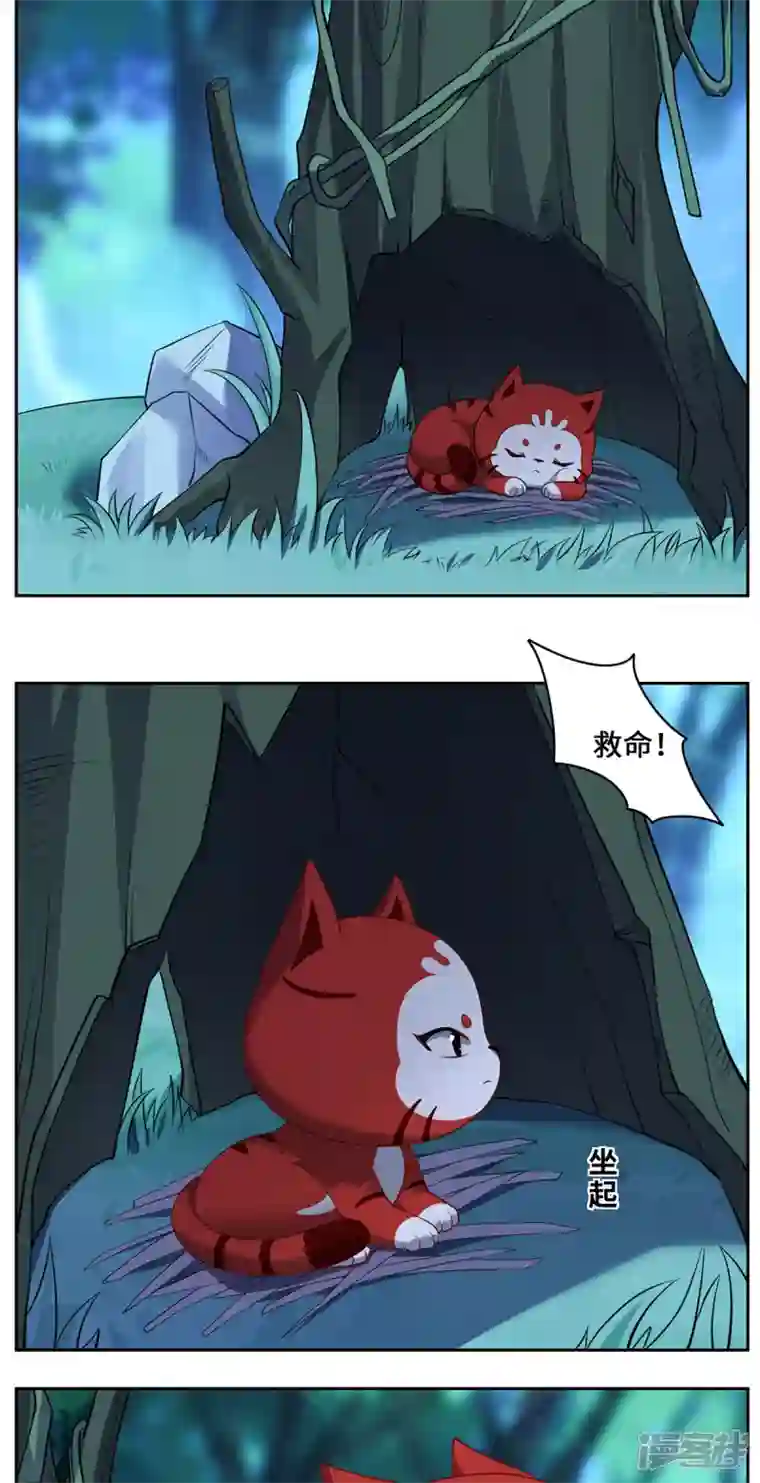 吾本是猫第85话 青丘