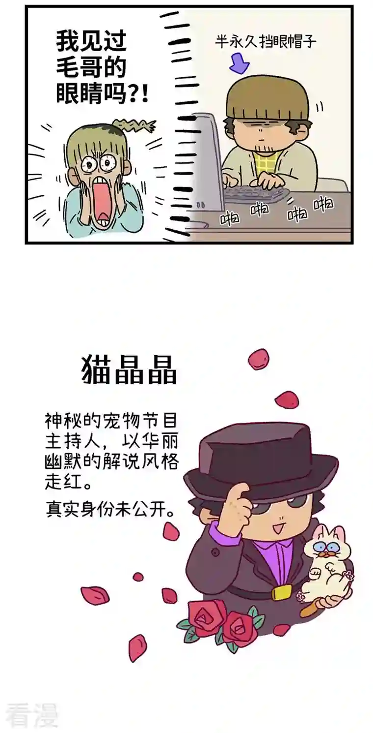 阿满和麦茶第83话 猫晶晶疑云其一