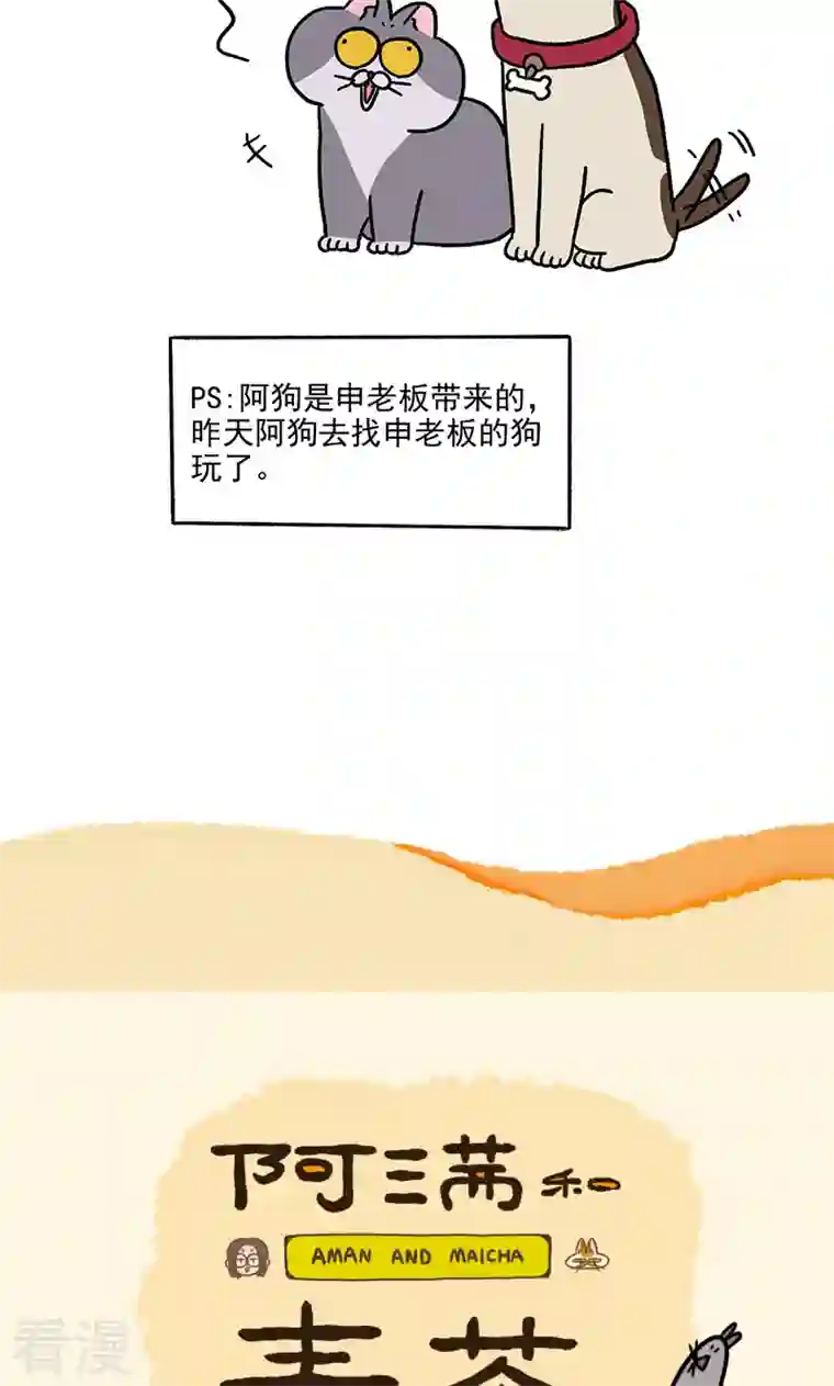阿满和麦茶第86话 猫晶晶疑云其四