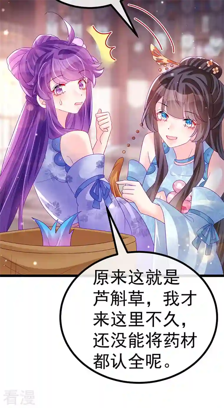 军火女凰第146话 臭宝心里有我