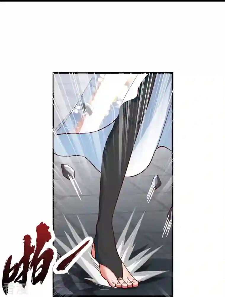 科技大佬来修仙第84话 东林府水青鵉