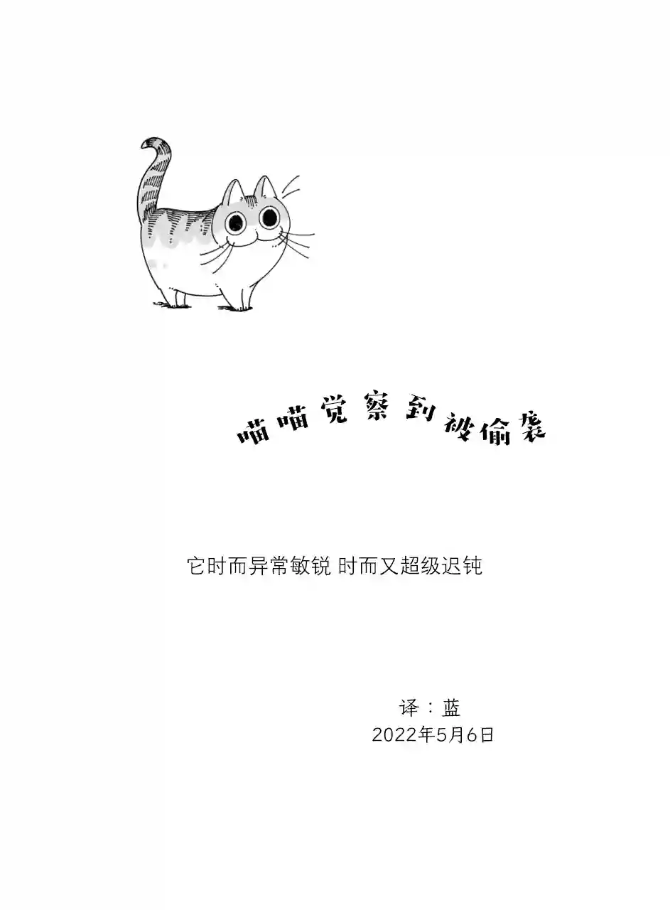 关于养猫我一直是新手第115话