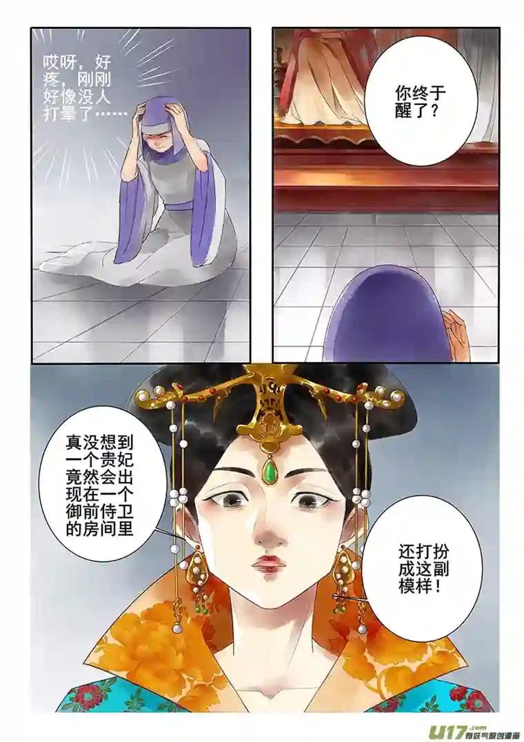 十两花芙蓉三十七