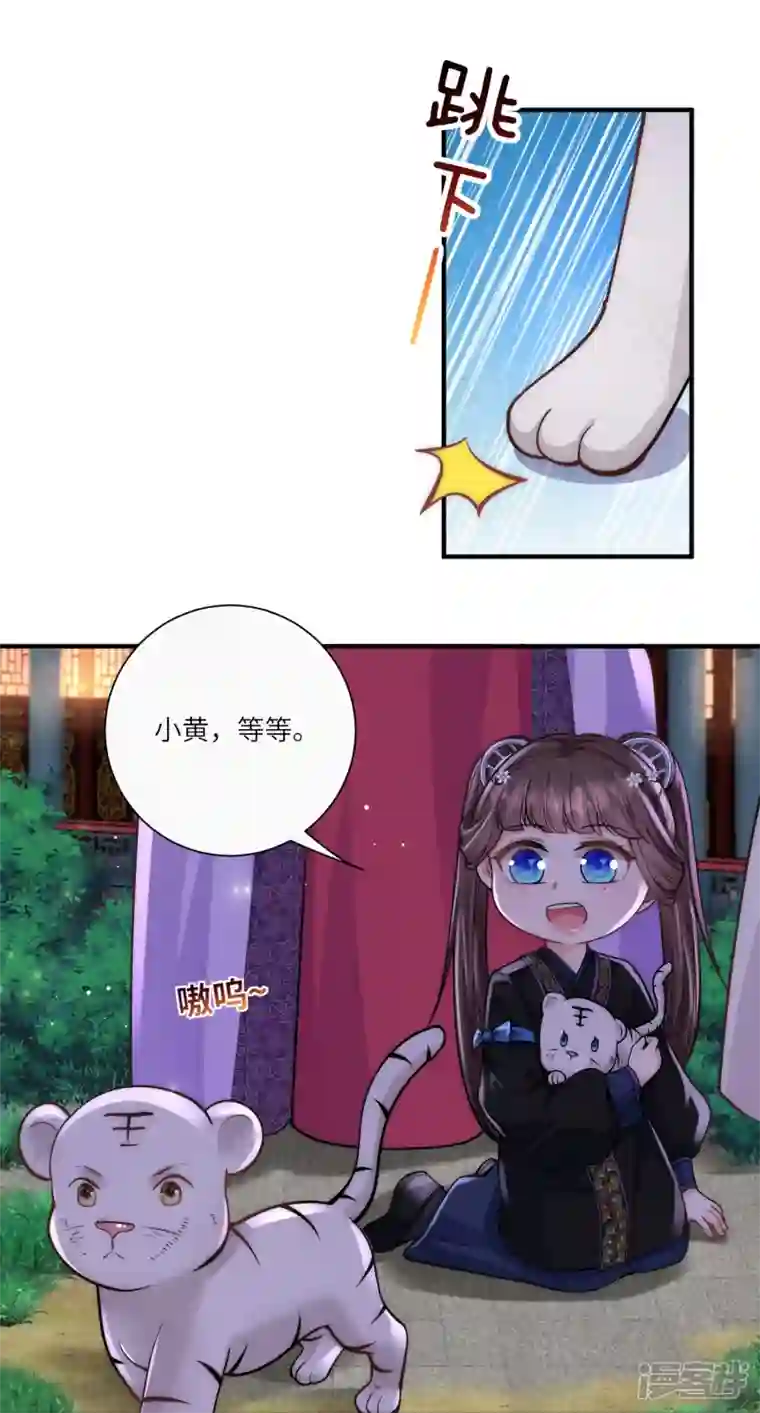 团宠公主三岁半第33话 助攻神宠