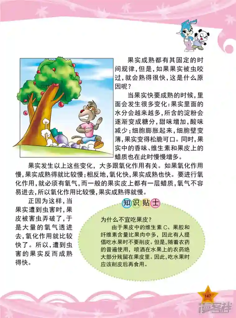 虹猫蓝兔十万个为什么之植物卷第18话