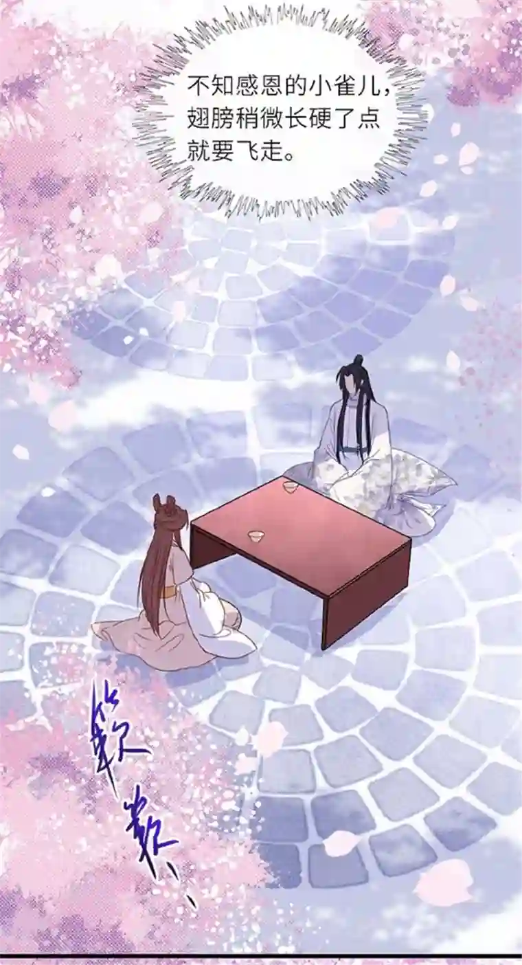 将军，本妃不承宠第12话 花下饮酒醉