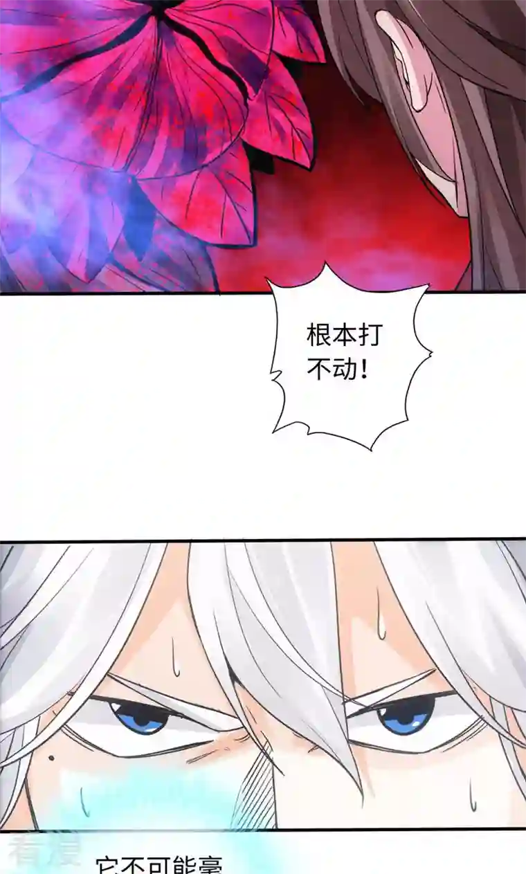 诸天纪第二季第31话
