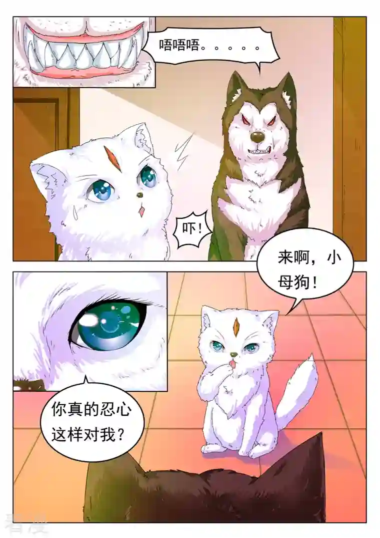 姐姐，照亮我第6话
