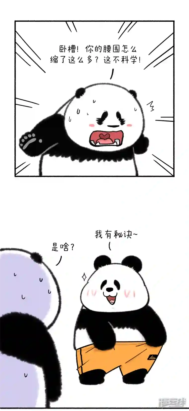 快把动物放进冰箱327奇思减肥有妙招 裤腰嗖嗖往下掉