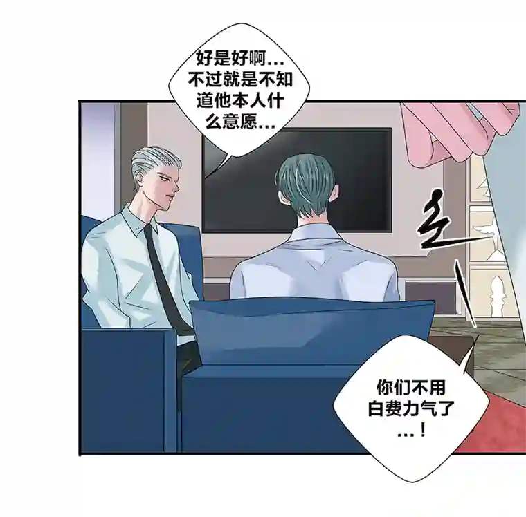 如爱相生*44决定