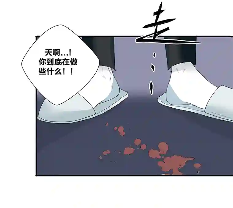 如爱相生*44决定