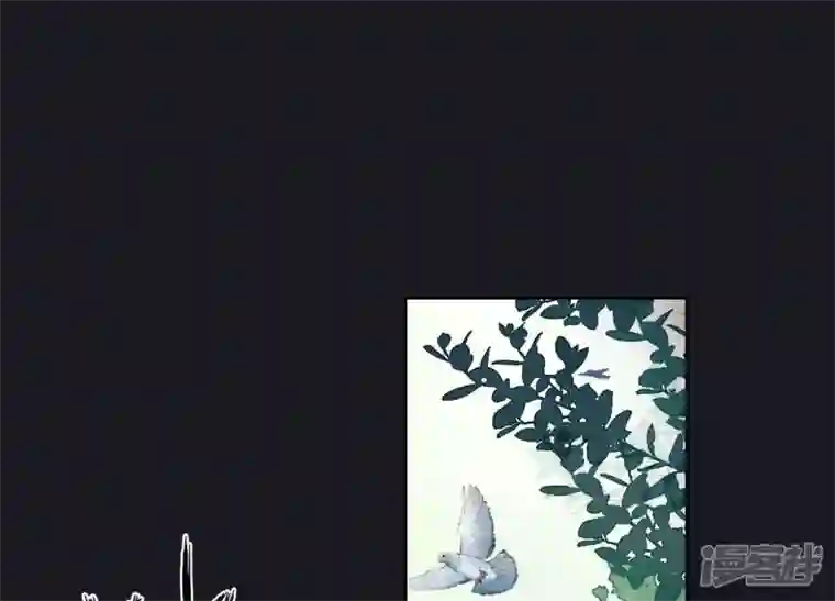 最豪赘婿 龙王殿第223话 暗杀