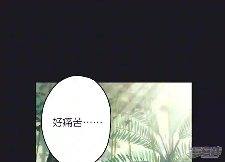 最豪赘婿 龙王殿第223话 暗杀