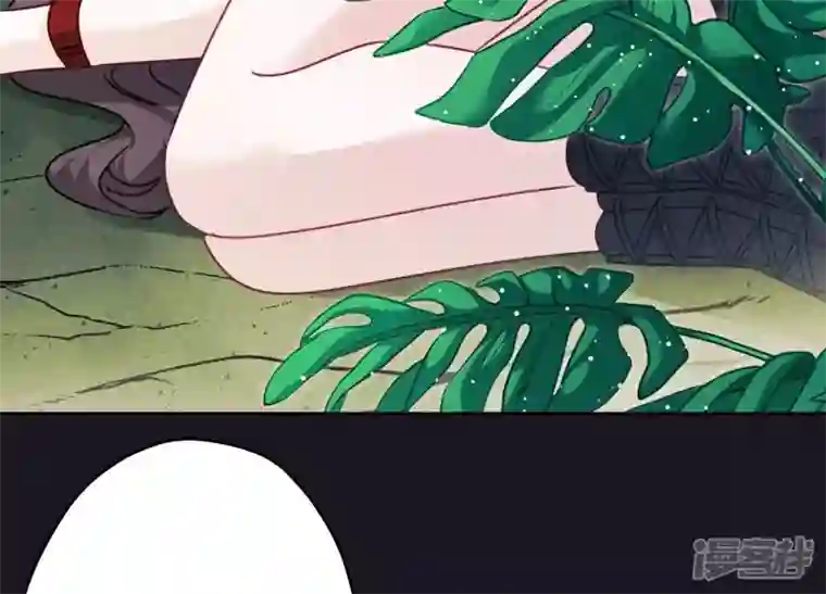 最豪赘婿 龙王殿第223话 暗杀
