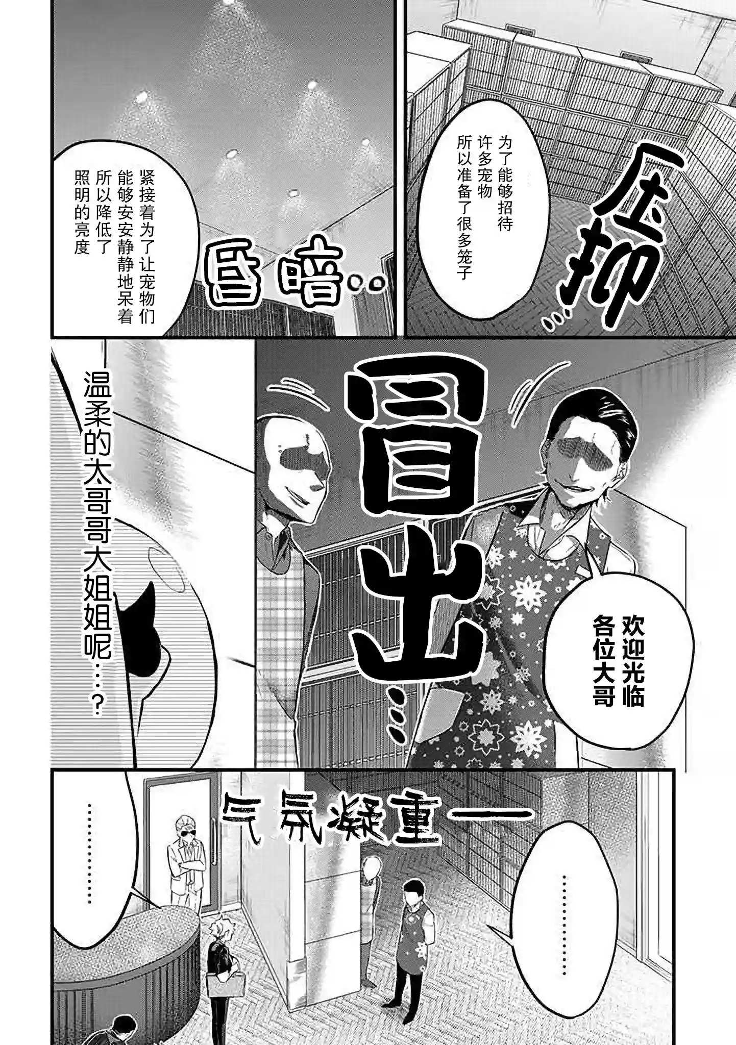 被遗弃的小猫咪与原黑道第30话