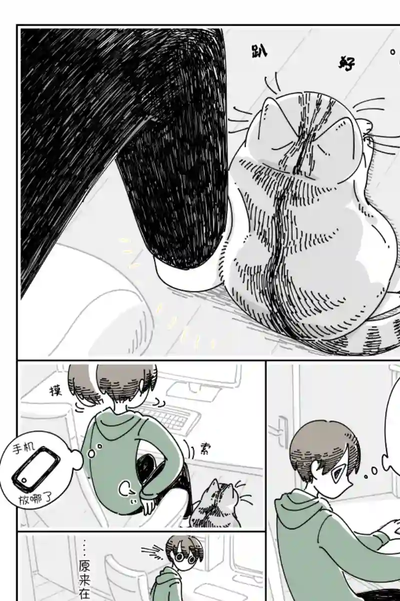 关于养猫我一直是新手第116话
