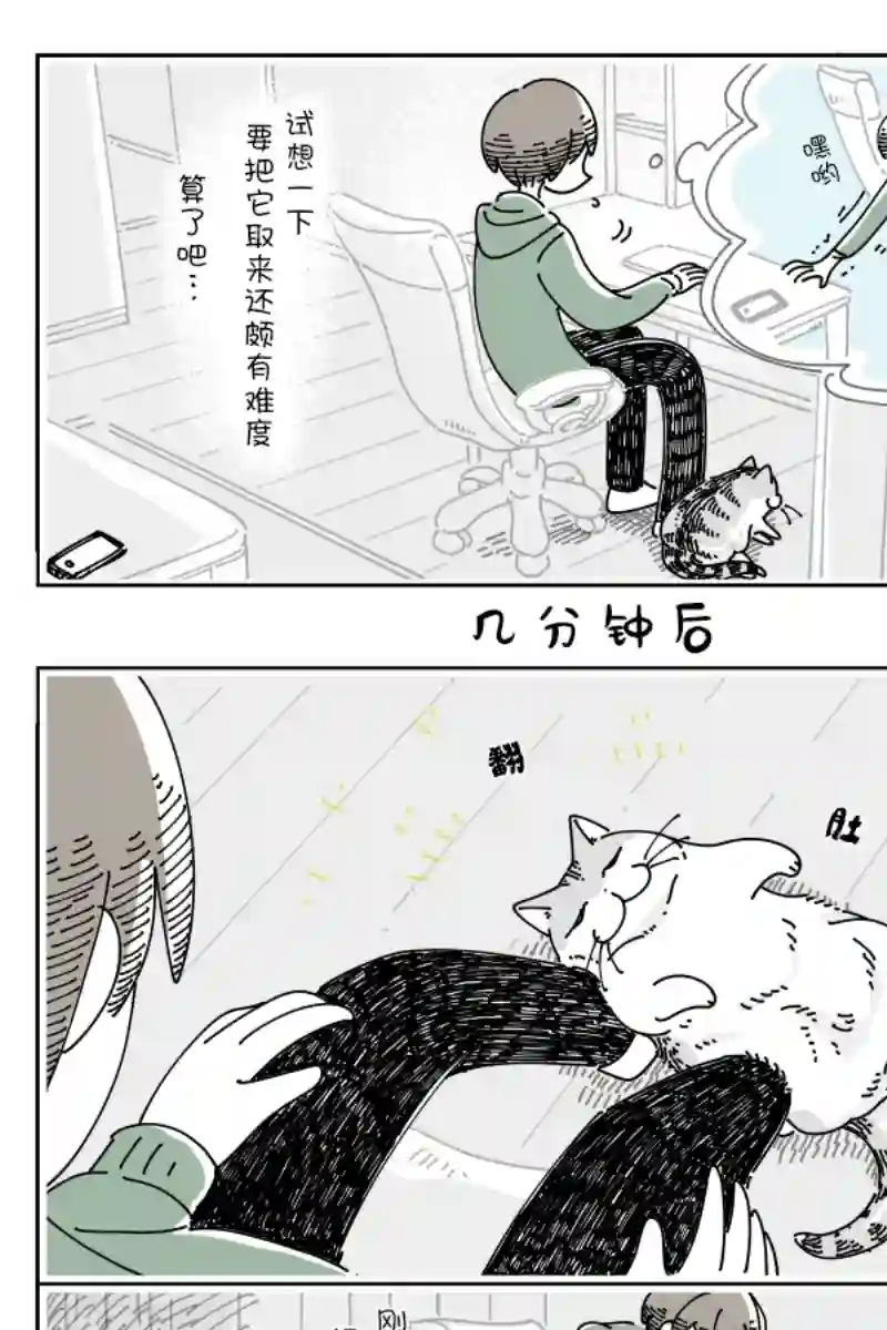 关于养猫我一直是新手第116话