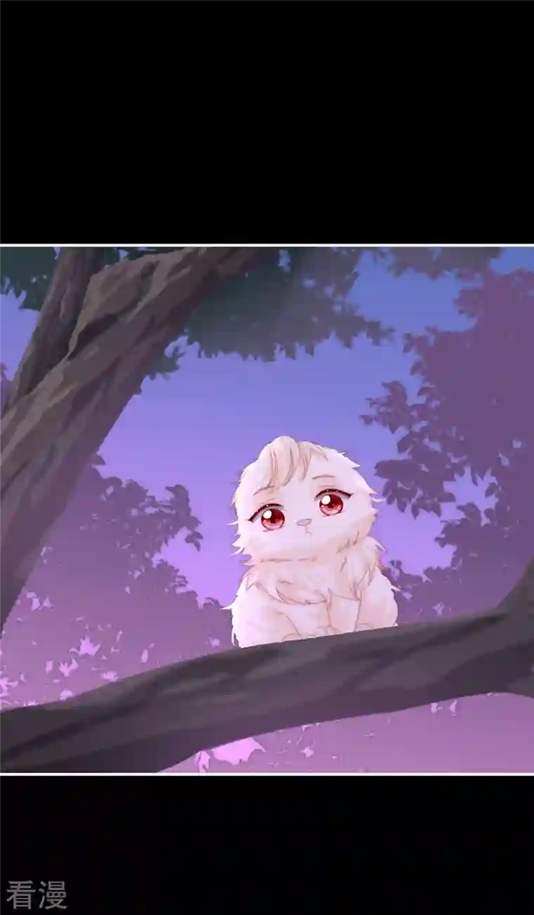 妻主，请享用第39话 你有别的狗了