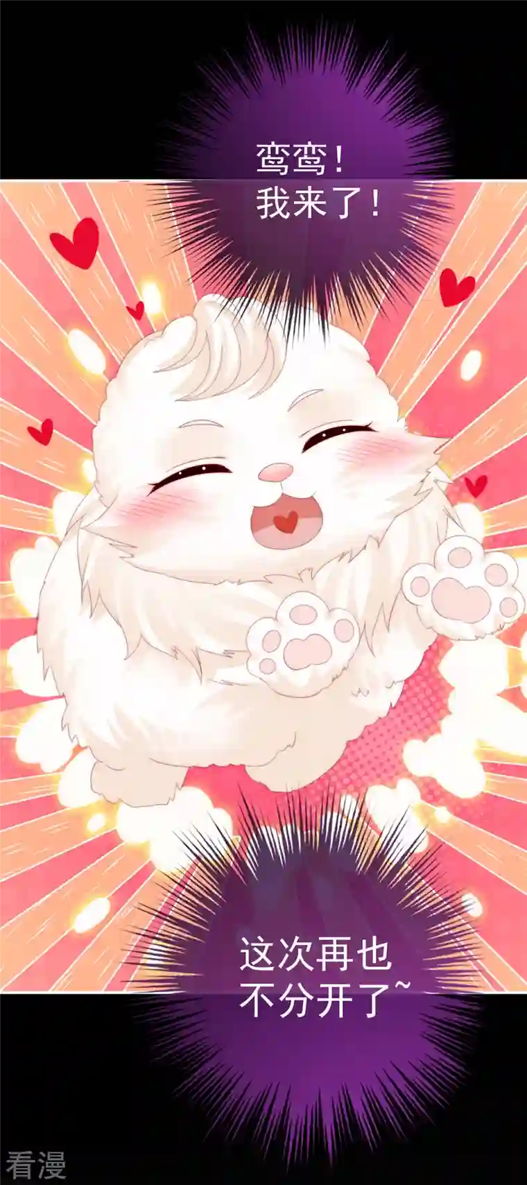 妻主，请享用第39话 你有别的狗了