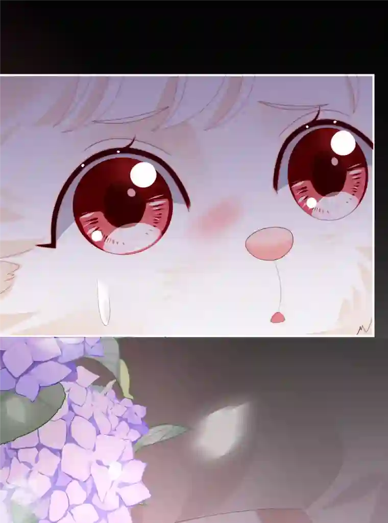 妻主，请享用第39话 你有别的狗了