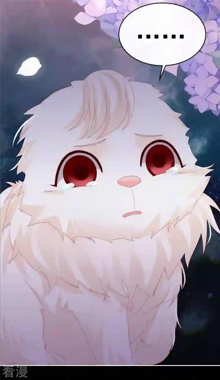 妻主，请享用第39话 你有别的狗了