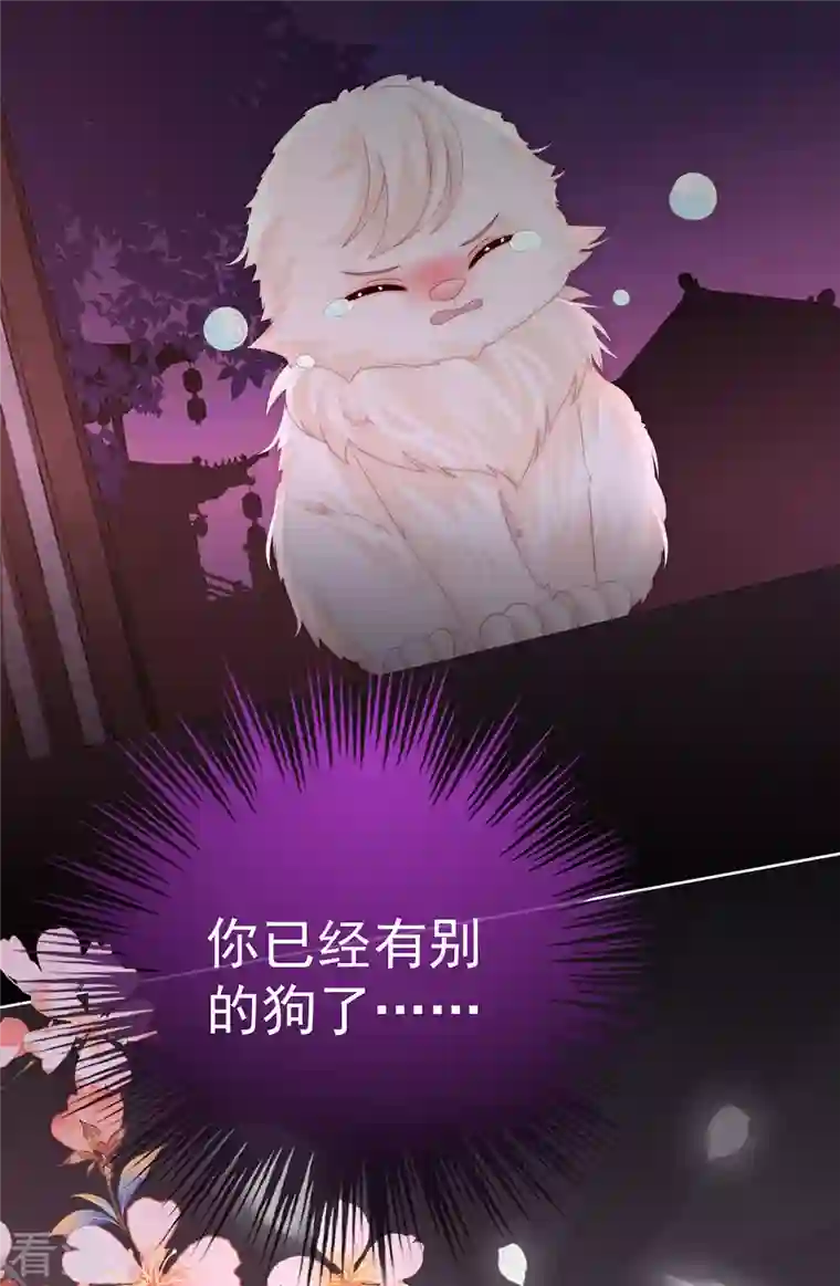 妻主，请享用第39话 你有别的狗了