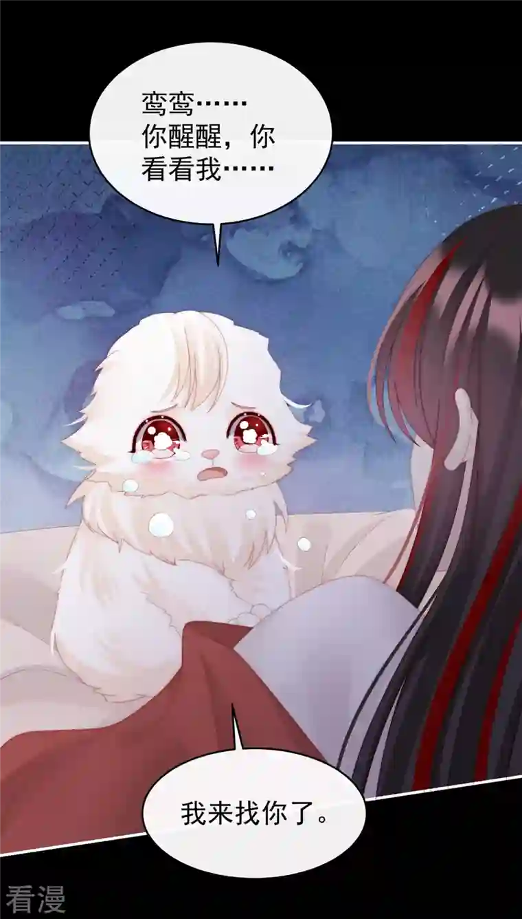 妻主，请享用第39话 你有别的狗了