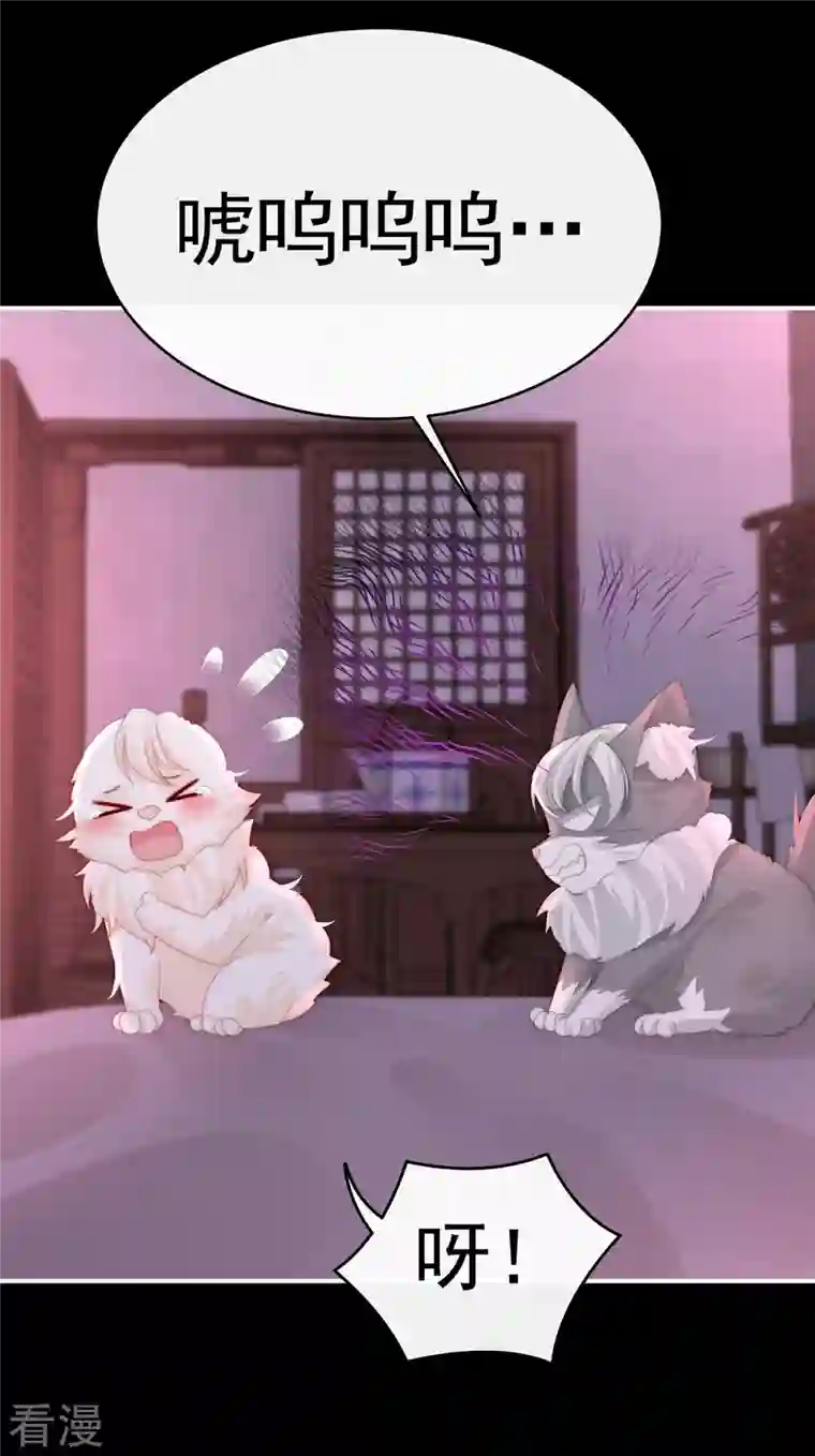妻主，请享用第39话 你有别的狗了