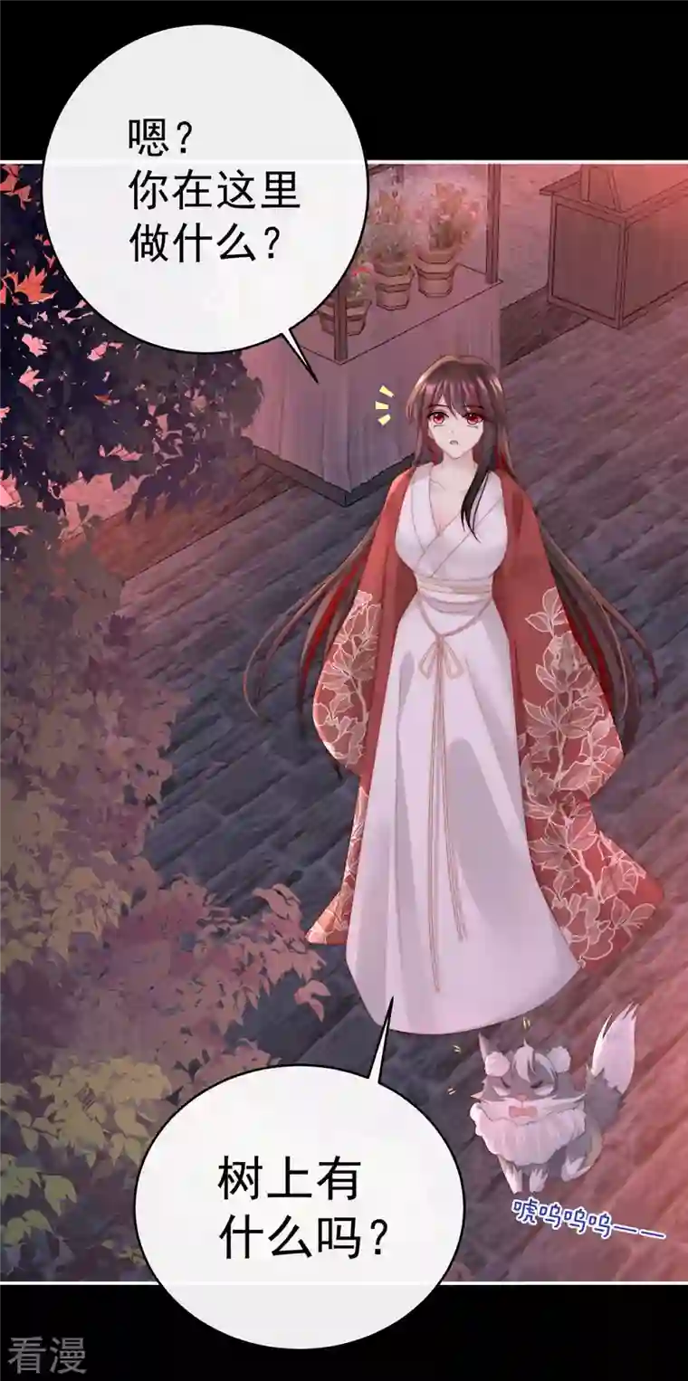 妻主，请享用第39话 你有别的狗了