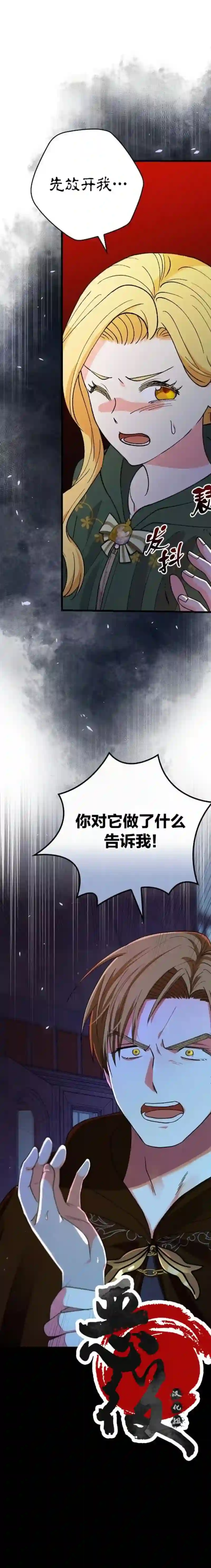冰花骑士第19话