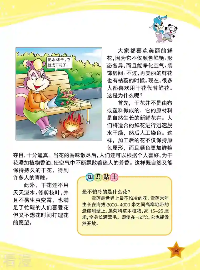 虹猫蓝兔十万个为什么之植物卷第20话