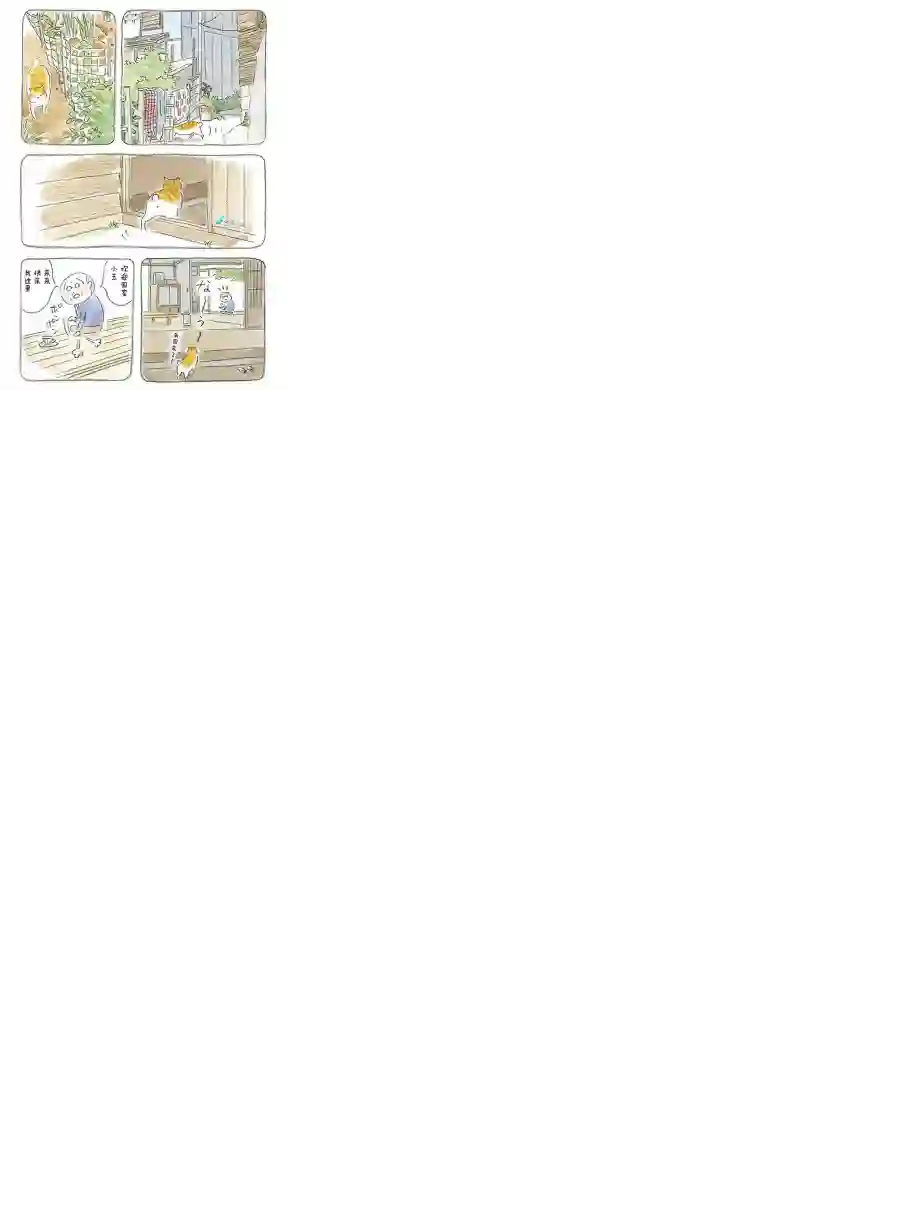 宅新闻 作品合集03老爷爷和猫