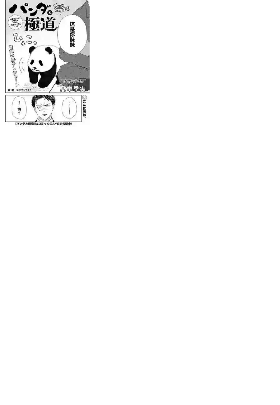 宅新闻 作品合集12熊猫与黑道