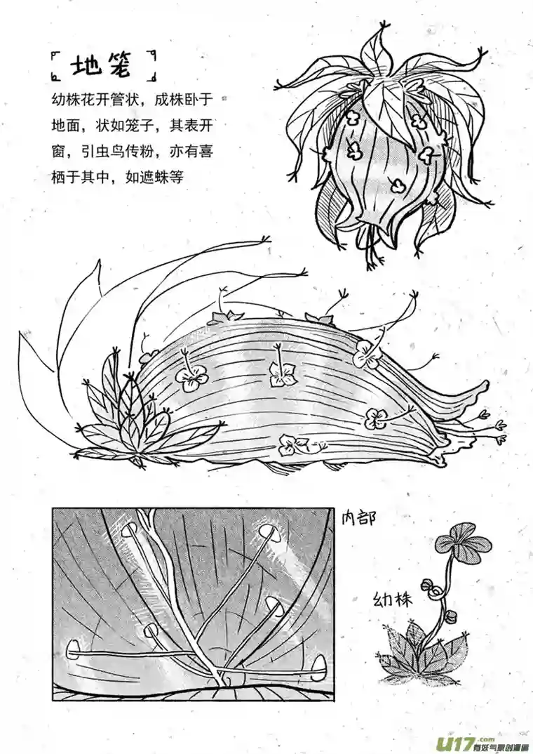 山海第八回：这世界对孩童尚算宽容