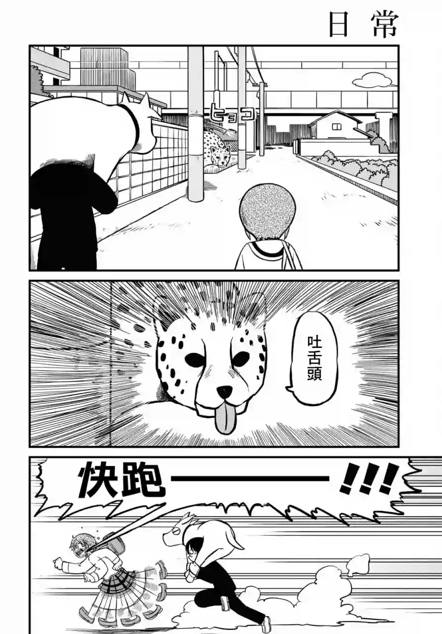 日常第202话