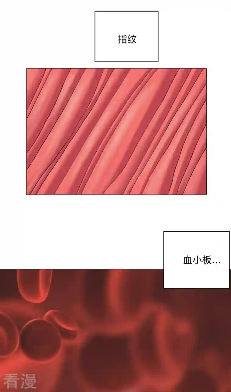 修仙者大战超能力第181话 一个巴掌解决