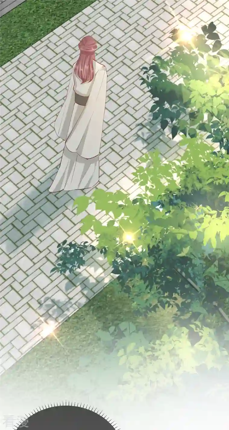 王妃的成长攻略第2季27话 神秘替身