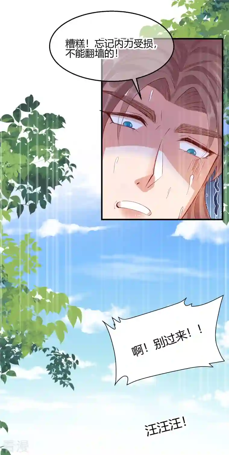 王妃的成长攻略第2季27话 神秘替身