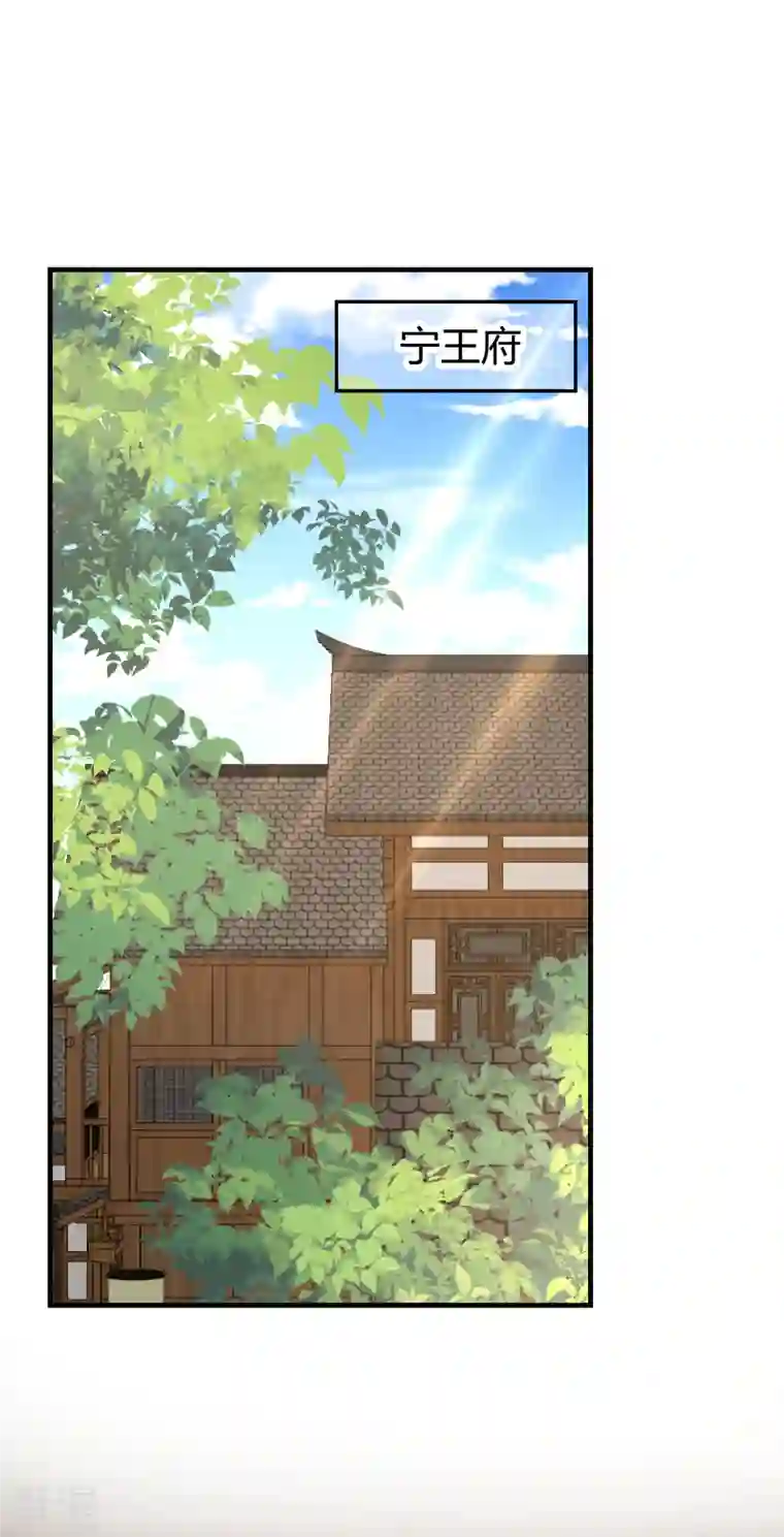 王妃的成长攻略第2季27话 神秘替身