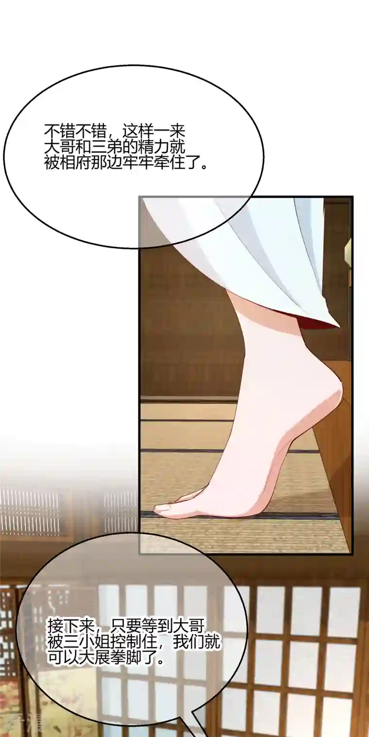 王妃的成长攻略第2季27话 神秘替身