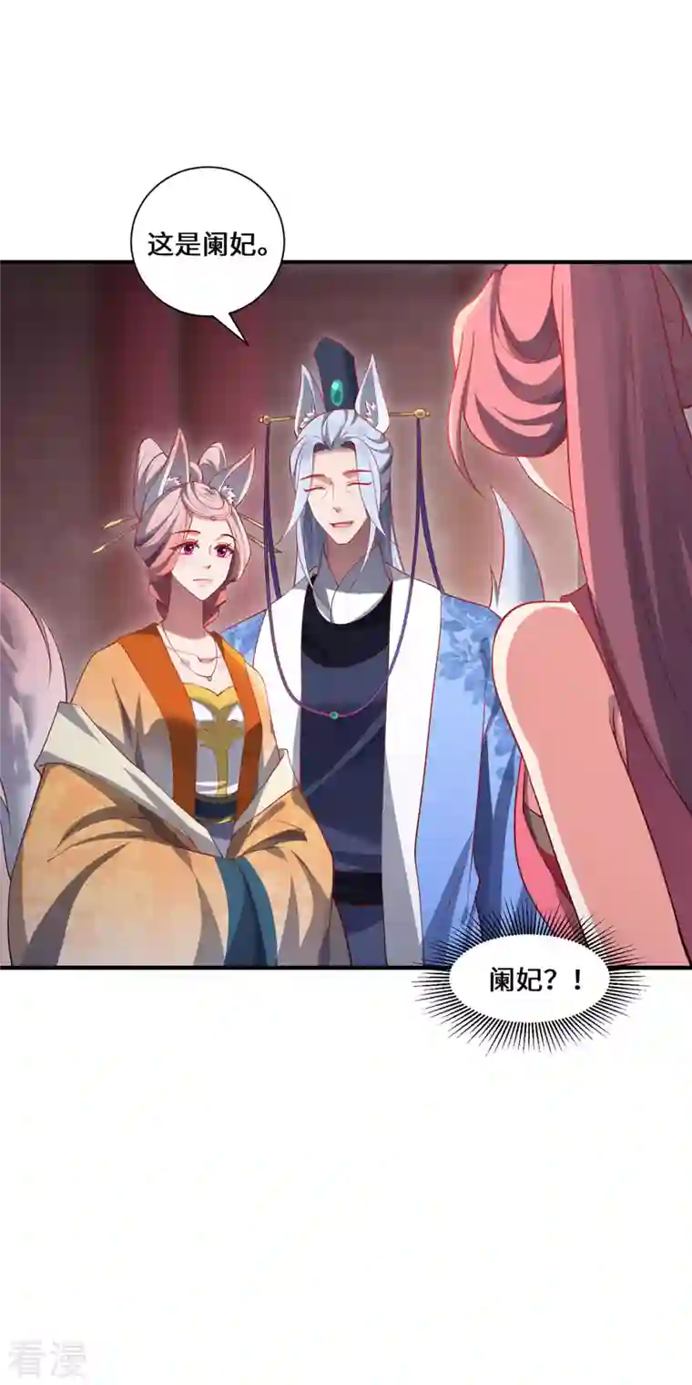 吾本是猫第89话 试探