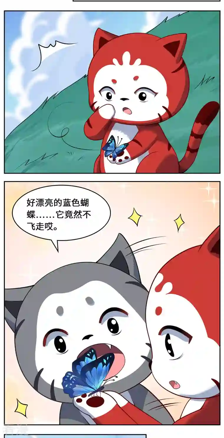 吾本是猫第89话 试探