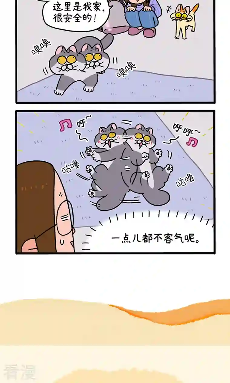 阿满和麦茶第89话1 阿狗初来乍到