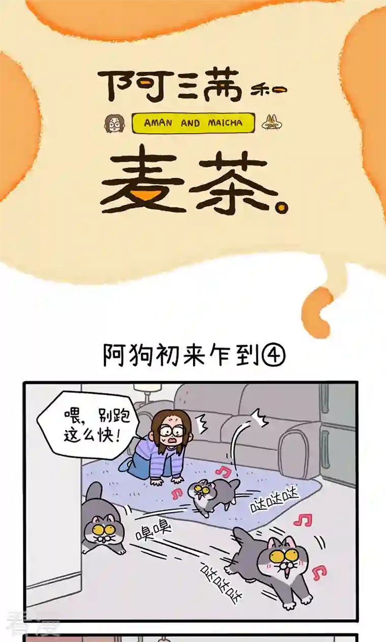 阿满和麦茶第89话2 阿狗初来乍到