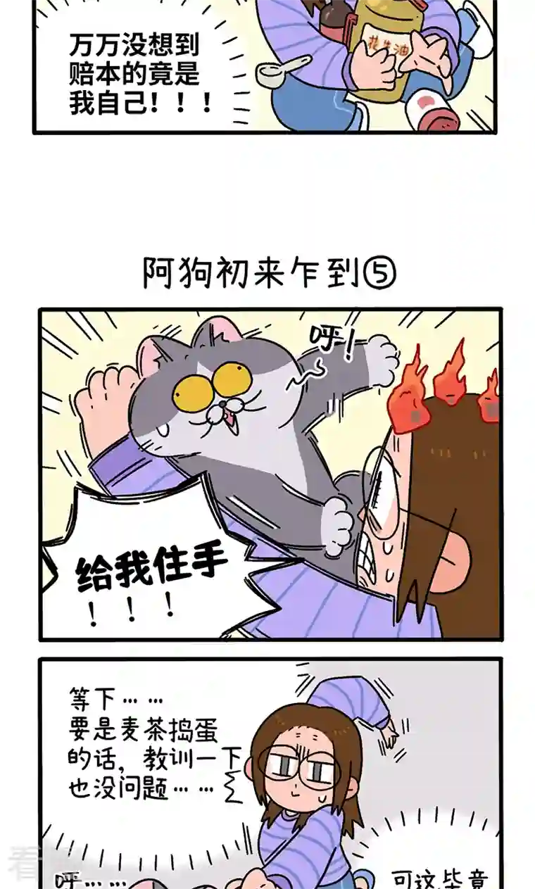 阿满和麦茶第89话2 阿狗初来乍到